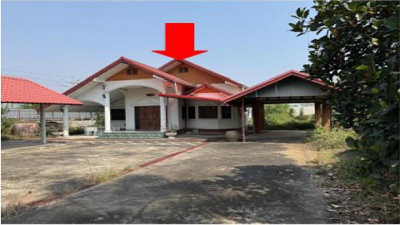 หนองบัว เมืองหนองบัวลำภู หนองบัวลำภู