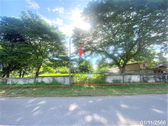 เมืองใหม่ ศรีบุญเรือง หนองบัวลำภู