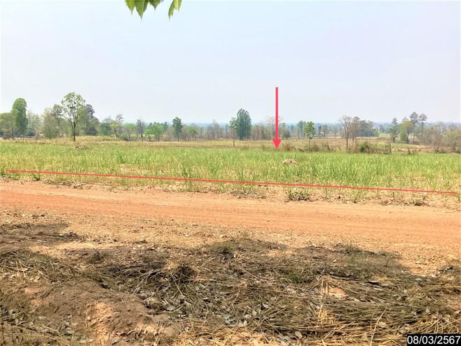 โนนสะอาด ศรีบุญเรือง หนองบัวลำภู