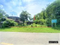 ขายบ้านเดี่ยว เมืองใหม่ ศรีบุญเรือง หนองบัวลำภู ขนาด 0-2-5.00 ของ ธนาคารกสิกรไทย
