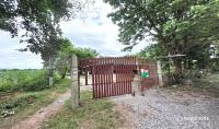 ขายบ้านเดี่ยว โนนสะอาด ศรีบุญเรือง หนองบัวลำภู ขนาด 3-3-51.00 ของ ธนาคารกสิกรไทย